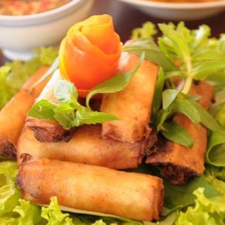 Spring Rolls (4)